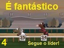 videos/004.mp4
