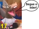 videos/017.mp4